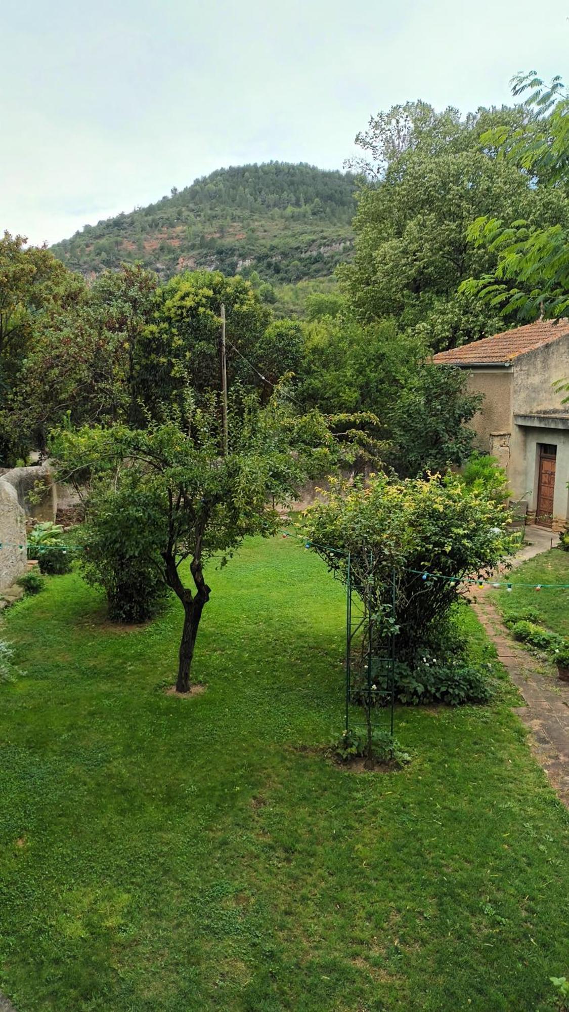 Maison Aleteia*** Decouverte Et Serenite Alet-les-Bains Exterior foto